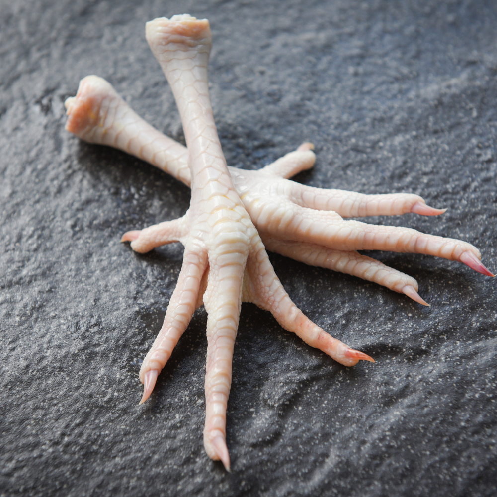 Chicken Feet – Nutrient-Rich and Pasture-Raised, Perfect for Broth Chicken Feet – Nutrient-Rich and Pasture-Raised, Perfect for Broth