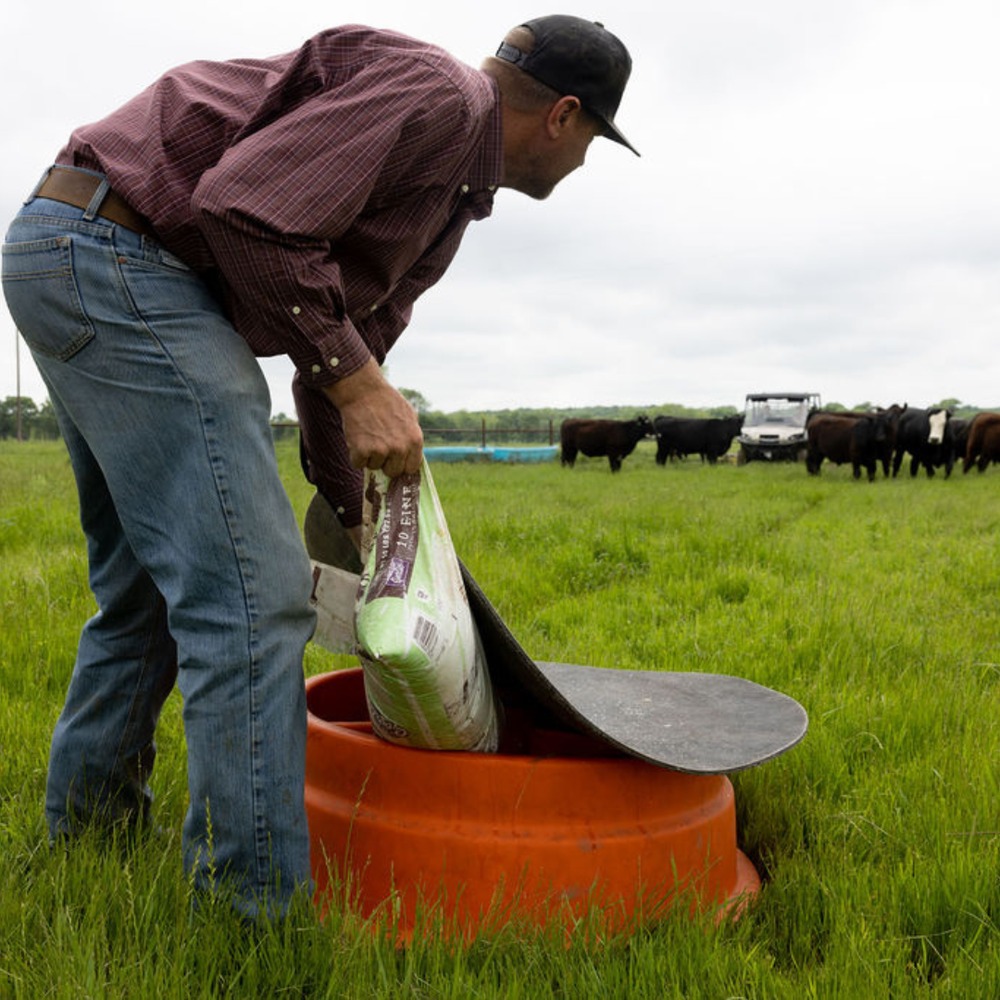 Ground Beef 90/10 - (Subscription)